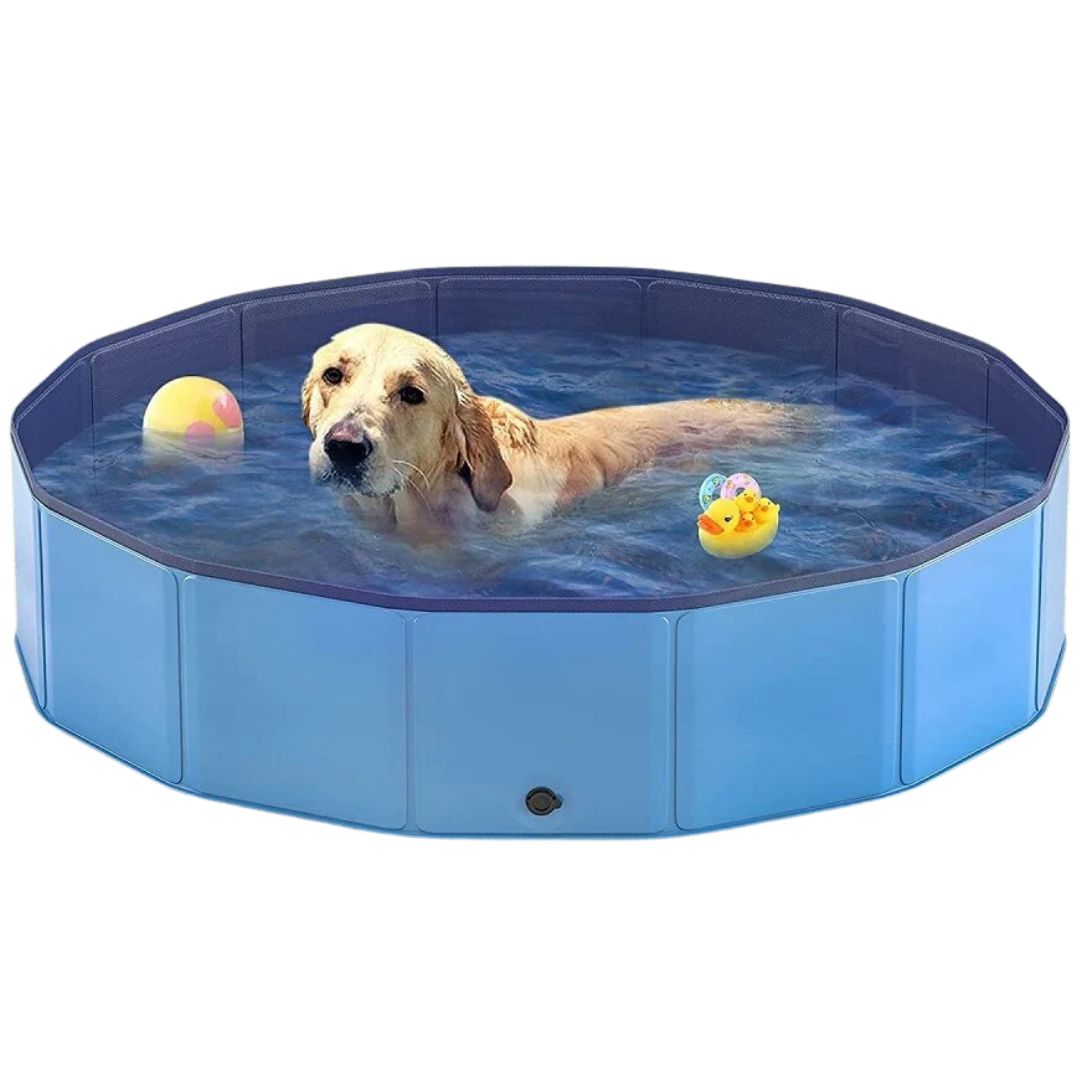 Piscina Para Mascotas